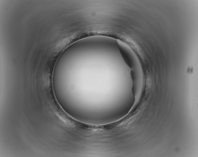 X0000090760401200707201508