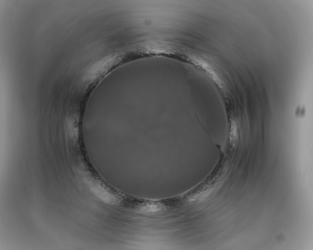 X0000090760402200707201508