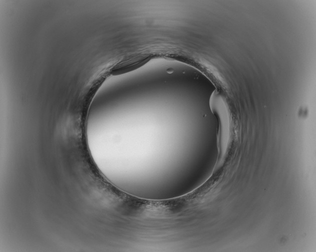 X0000090760403200707201508