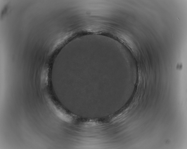 X0000090760404200707201507