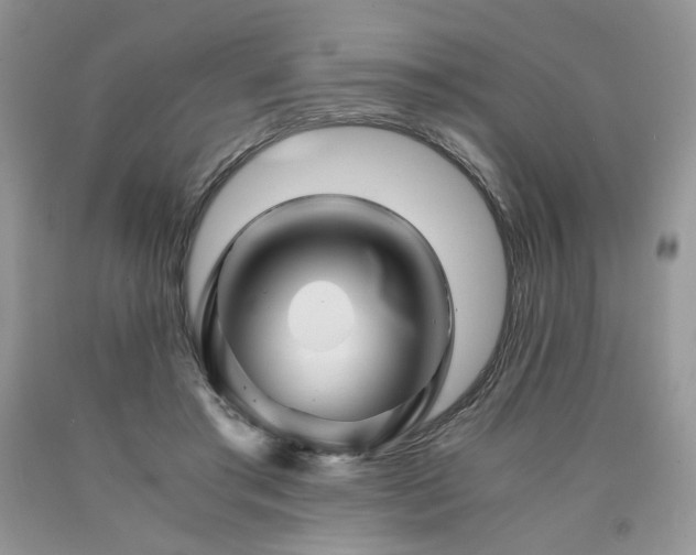 X0000090760405200707201507