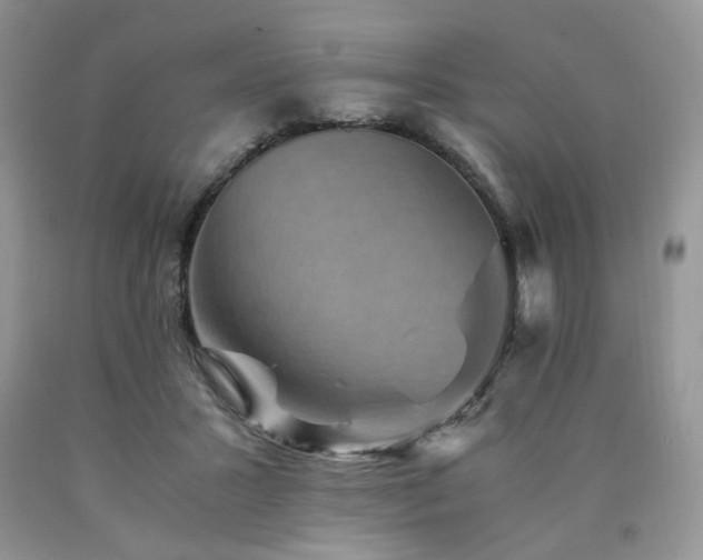 X0000090760407200707201507