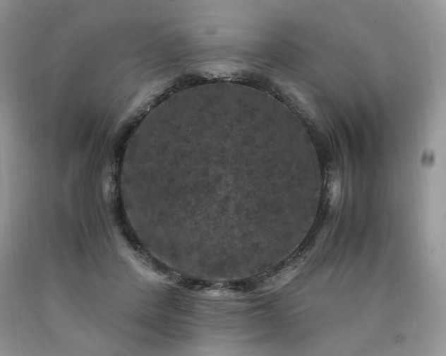 X0000090760408200707201507