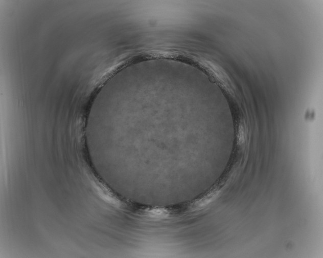 X0000090760409200707201507