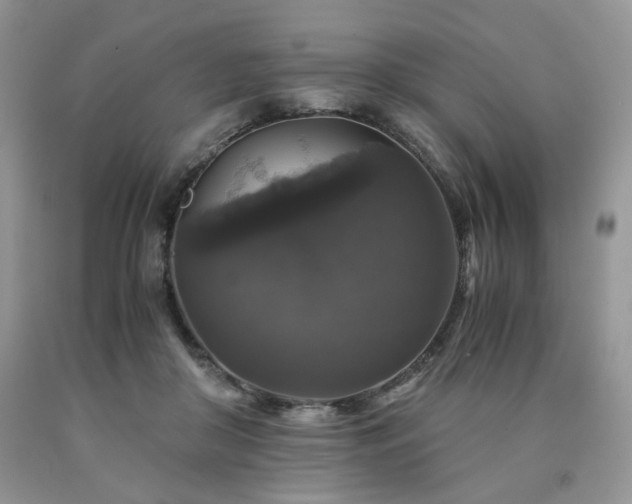 X0000090760410200707201507