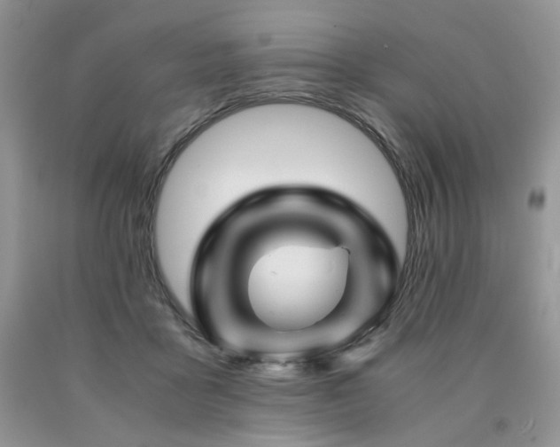 X0000090760411200707201507