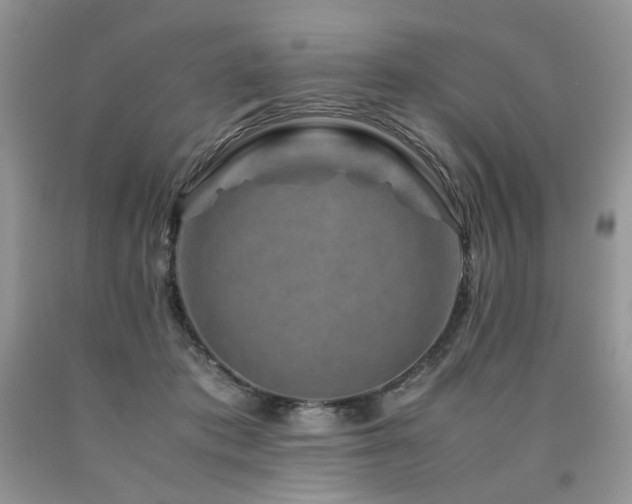 X0000090760413200707201507