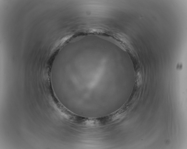 X0000090760415200707201507