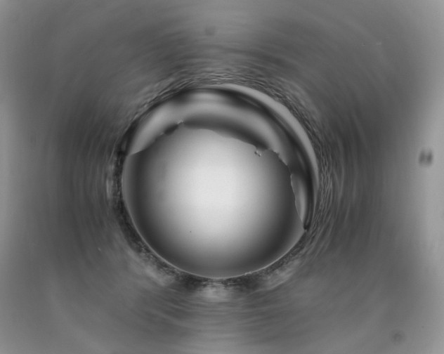 X0000090760416200707201507