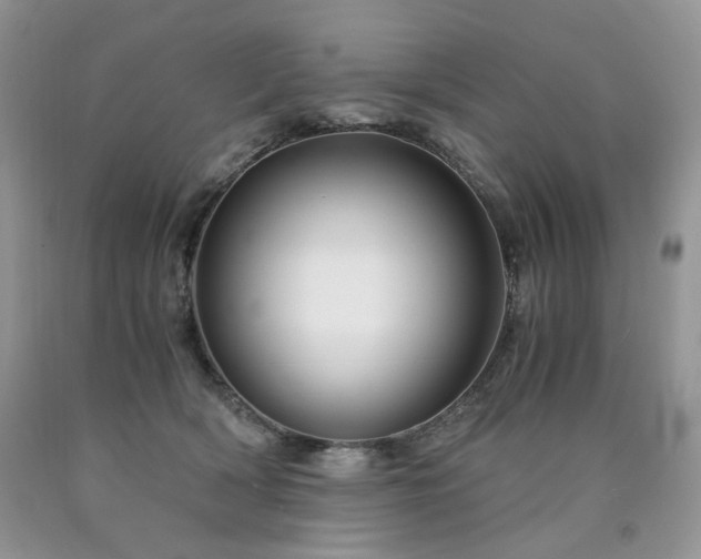 X0000090760418200707201507