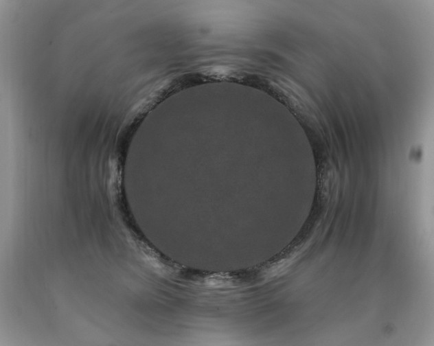 X0000090760420200707201507