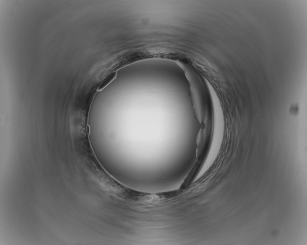 X0000090760421200707201507