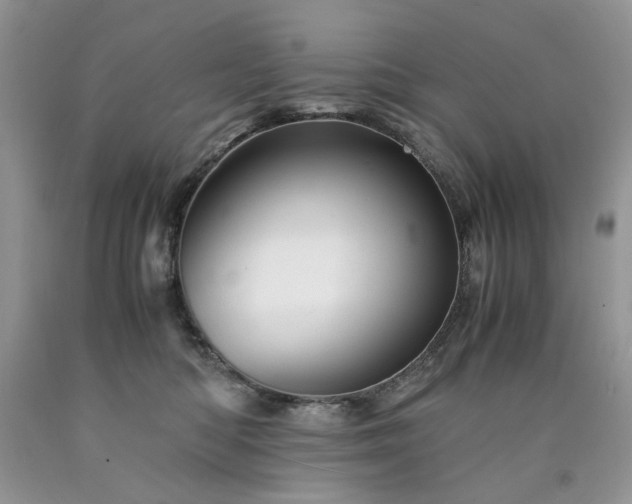 X0000090760422200707201507