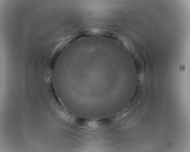 X0000090760423200707201507