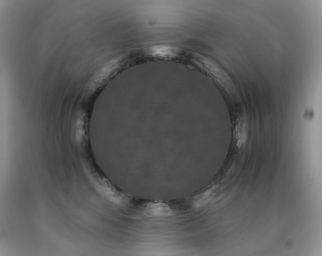 X0000090760424200707201507