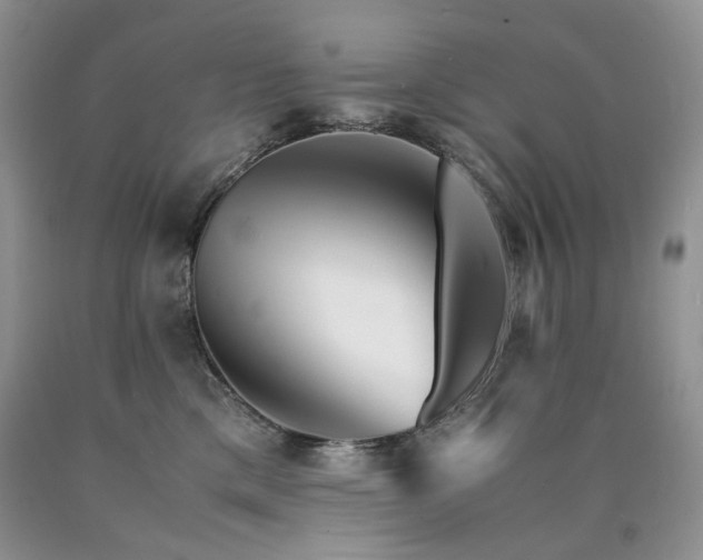 X0000090760425200707201507