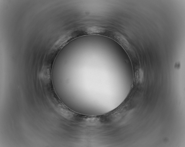 X0000090760426200707201507