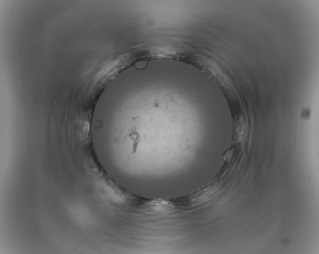 X0000090760427200707201507