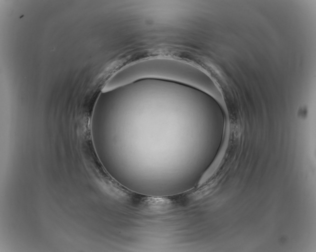 X0000090760429200707201507