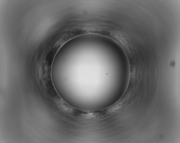 X0000090760430200707201507