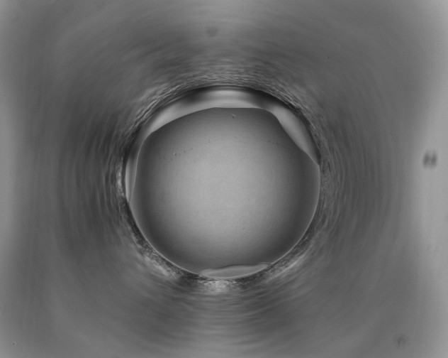 X0000090760432200707201507