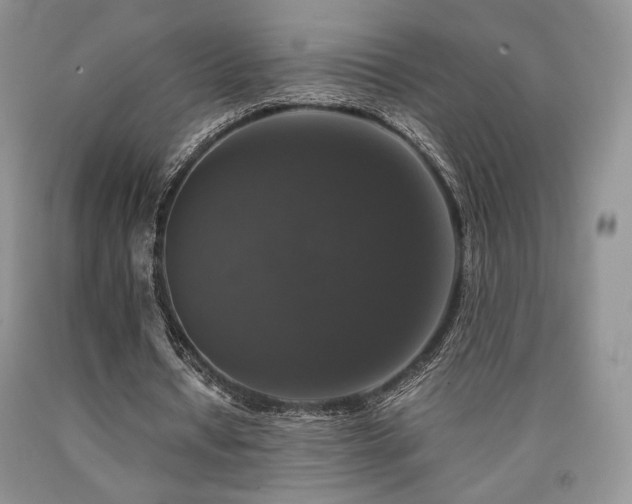 X0000090760434200707201506