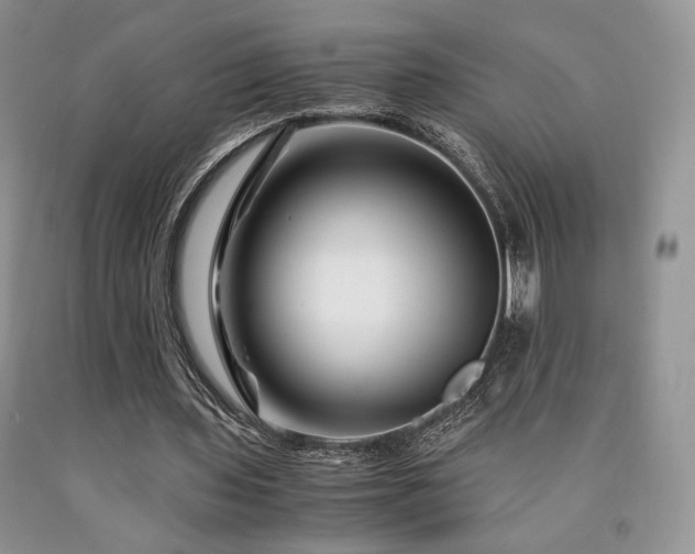 X0000090760435200707201506