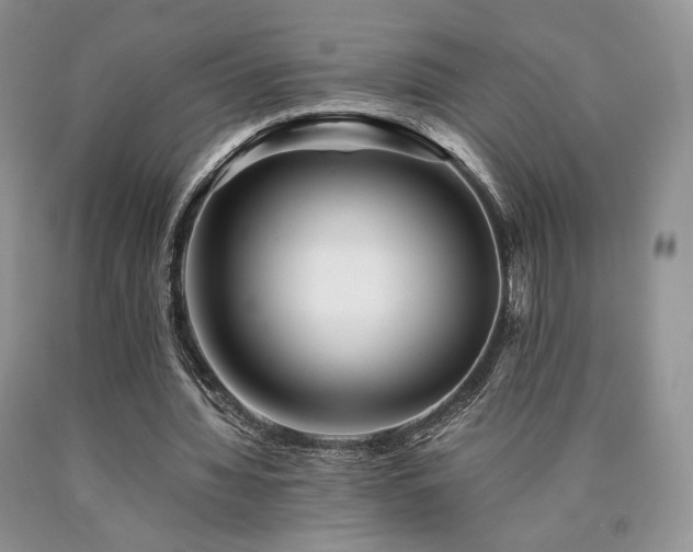 X0000090760436200707201506