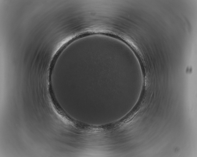 X0000090760438200707201506