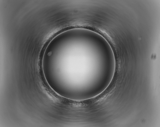 X0000090760439200707201506