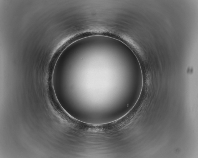 X0000090760440200707201506