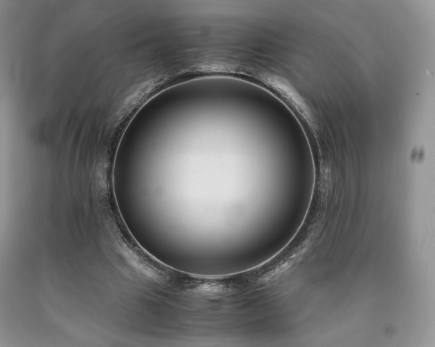 X0000090760441200707201506