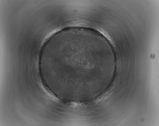 X0000090760442200707201507