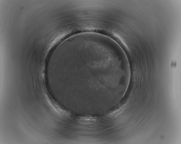 X0000090760443200707201507