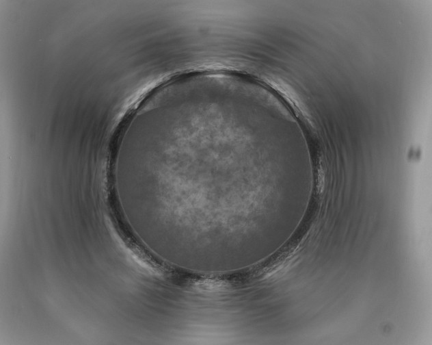 X0000090760444200707201507