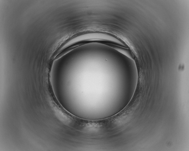 X0000090760445200707201507