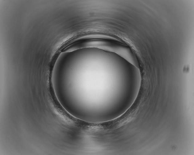 X0000090760446200707201507