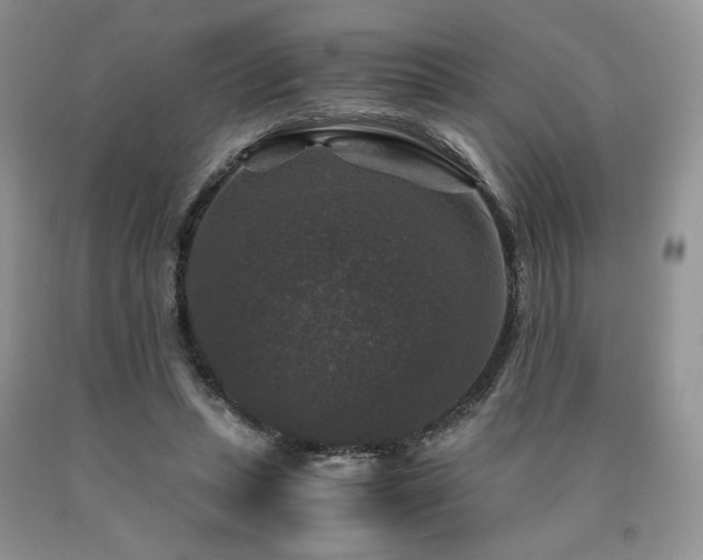 X0000090760447200707201507