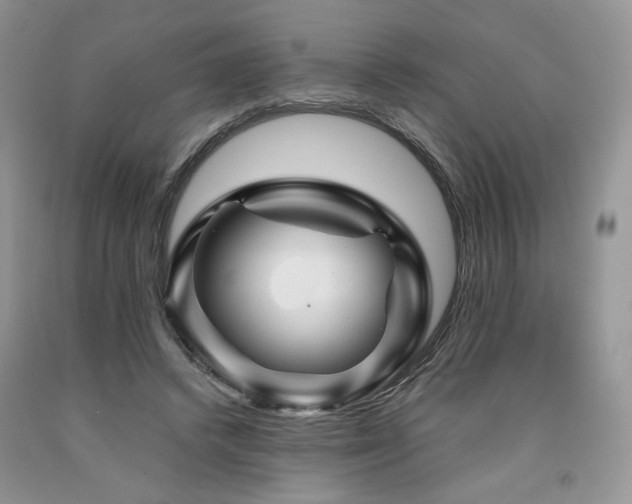 X0000090760448200707201507