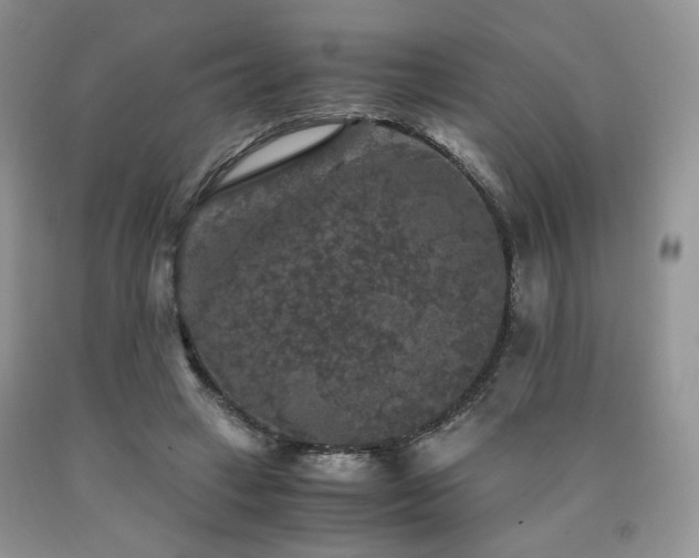 X0000090760449200707201507