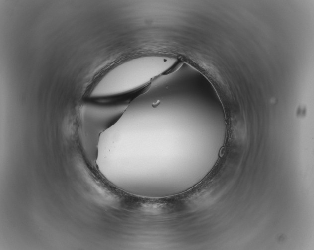 X0000090760450200707201507