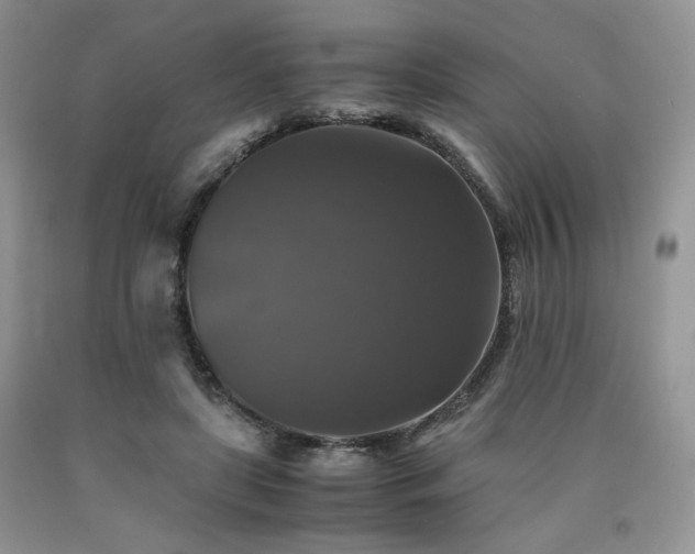 X0000090760451200707201507