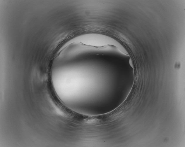 X0000090760452200707201507