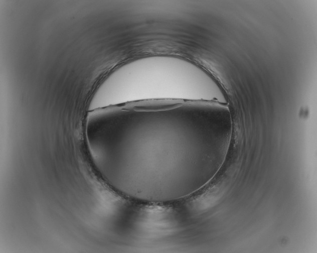 X0000090760453200707201507