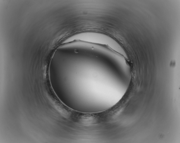 X0000090760454200707201507