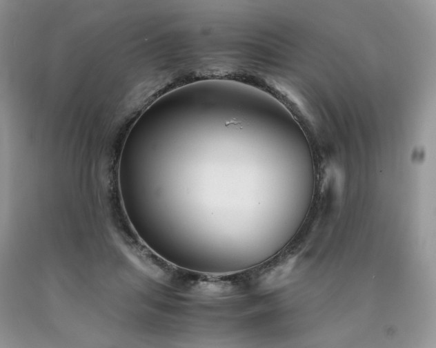 X0000090760455200707201507