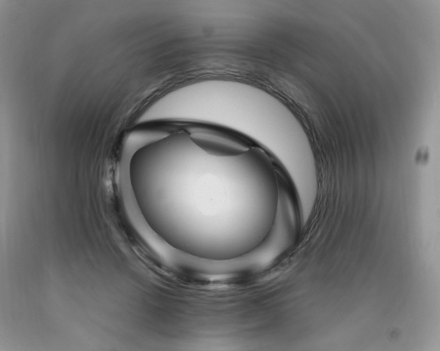 X0000090760456200707201507