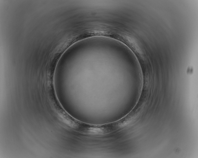 X0000090760457200707201507