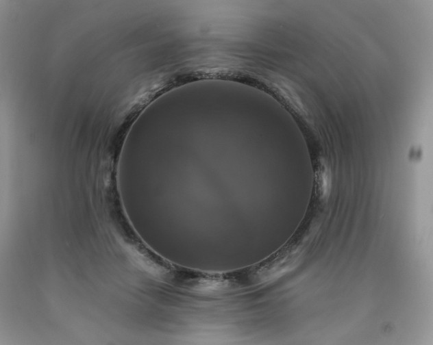 X0000090760458200707201507