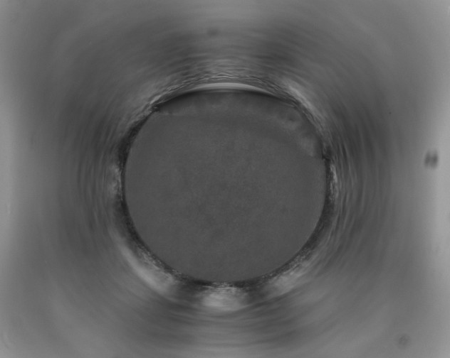 X0000090760459200707201507